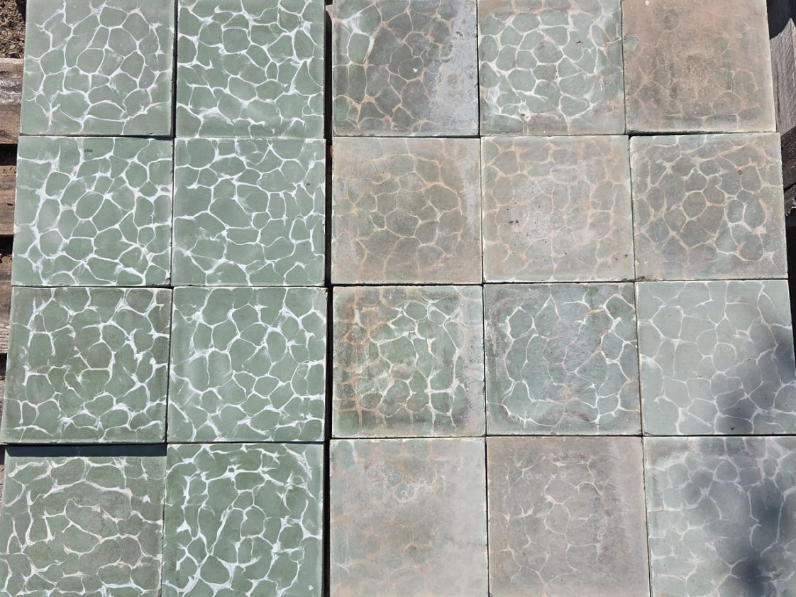 carreaux de ciment anciens - Peau de lézard vert exceptionnel